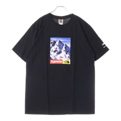 17AW ×THE NORTH FACE Mountain Tee ノースフェイス マウンテンプリント半袖カットソー 半袖Tシャツ ブラック NT81702I Sランク