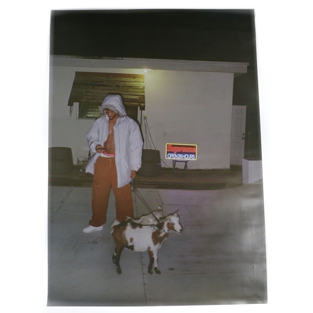 Sun Damage by harmony korine Tyshawn Jones Poster サンダメージ バイ ハーモニー・コリン タイショーン・ジョーンズ フォト ポスター マルチ Bランク