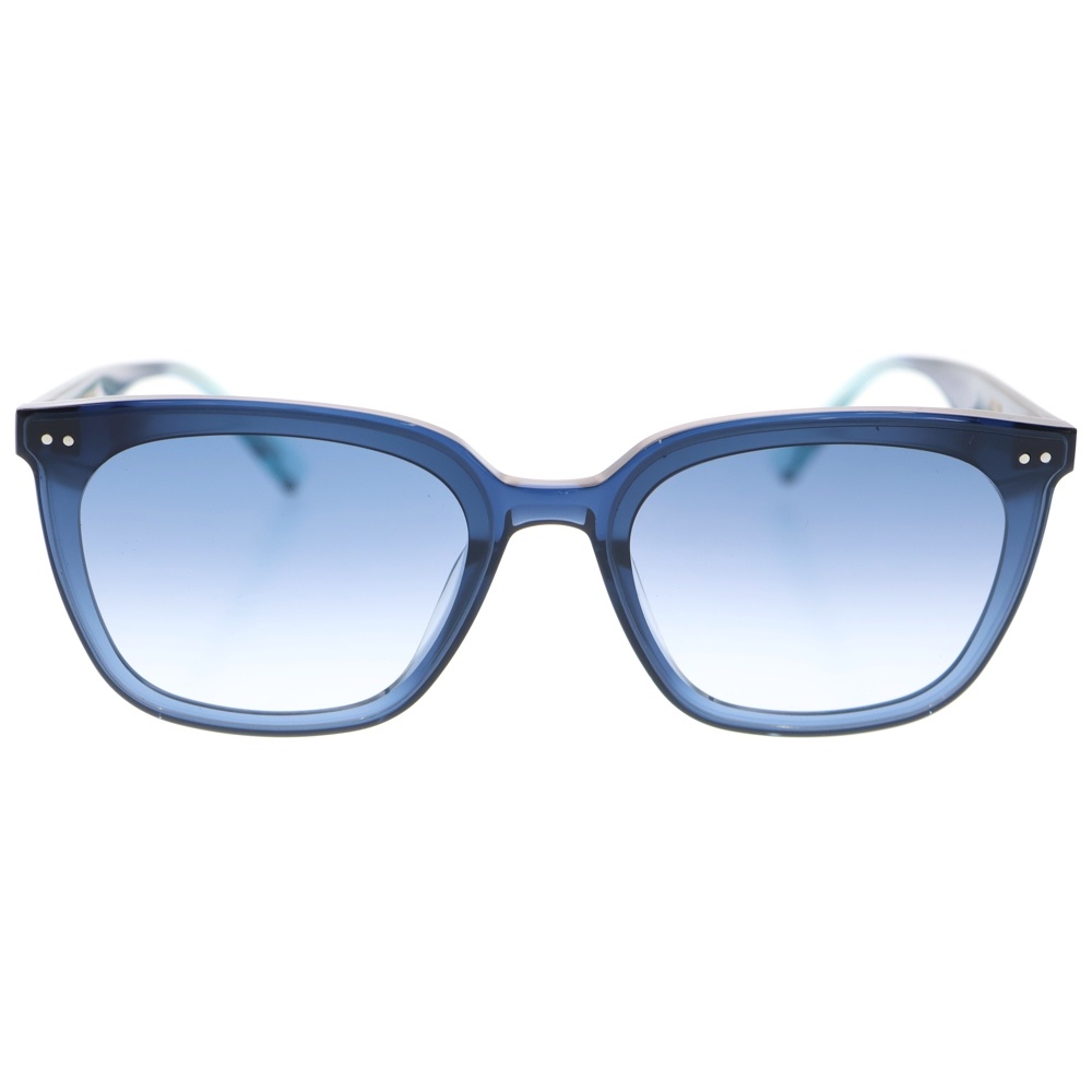 ジェントルモンスター Heizer NC2 テンプルロゴアセテートカラーレンズ