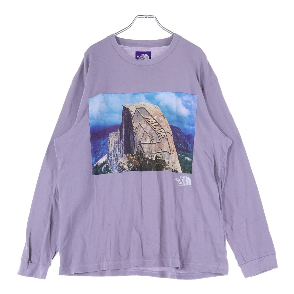 PALACE THE NORTH FACE グラフィックTシャツ グレー PALACE THE NORTH FACE グレー Tシャツ ザ ノース フェイス THE NORTH