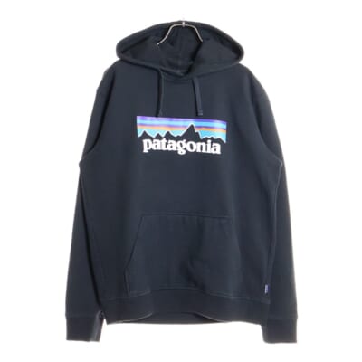 パタゴニア 06年製 CORDILLERA PARKA 28390EF6 EU限定 コルディエラ