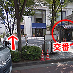 ルートガイド